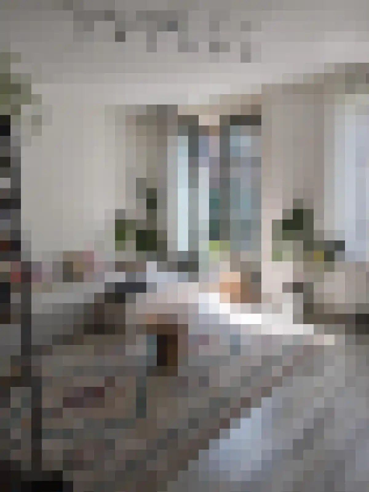 Insulindeweg 114 Amsterdam thumbnail 6