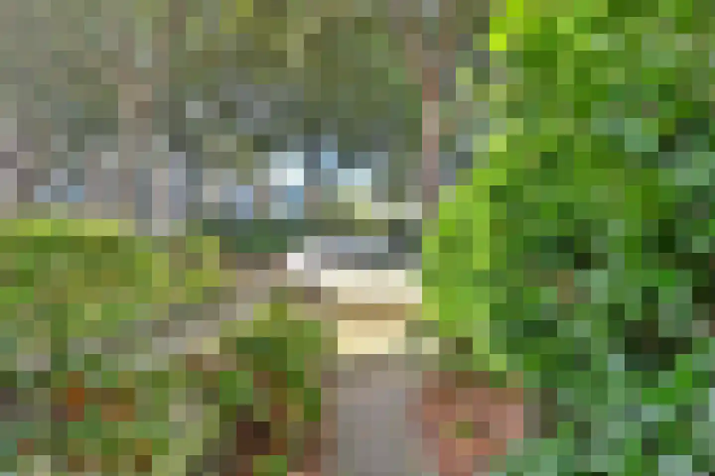 Insulindeweg 246 Delft thumbnail 11