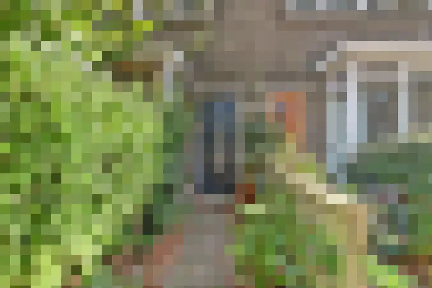 Insulindeweg 246 Delft thumbnail 12