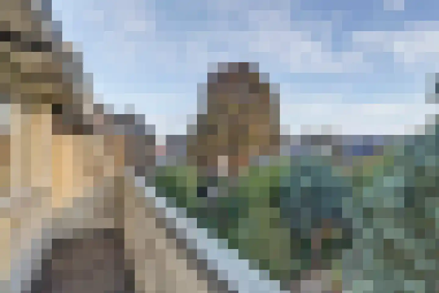 Insulindeweg 246 Delft thumbnail 40