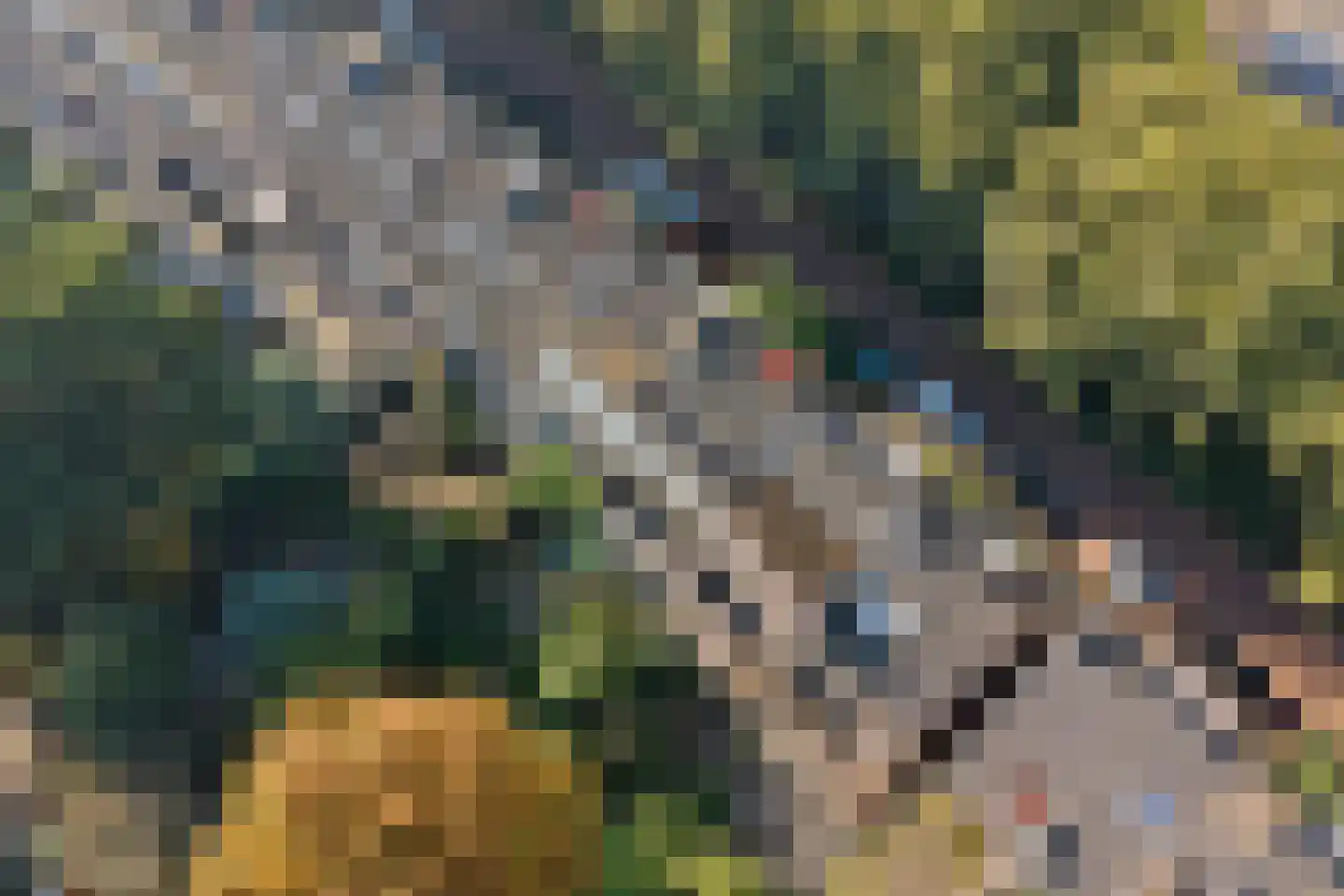 Insulindeweg 246 Delft thumbnail 46
