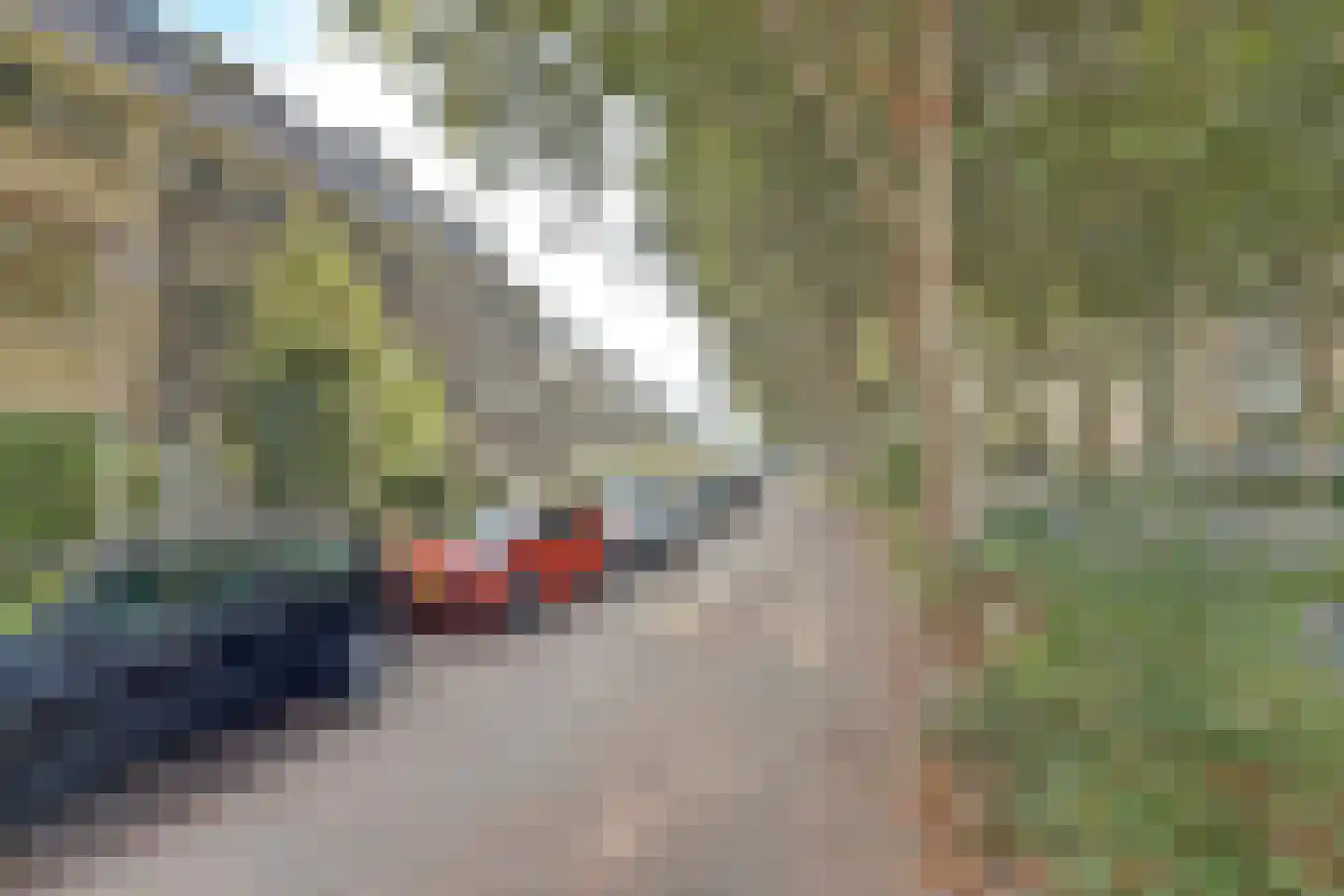 Insulindeweg 246 Delft thumbnail 8