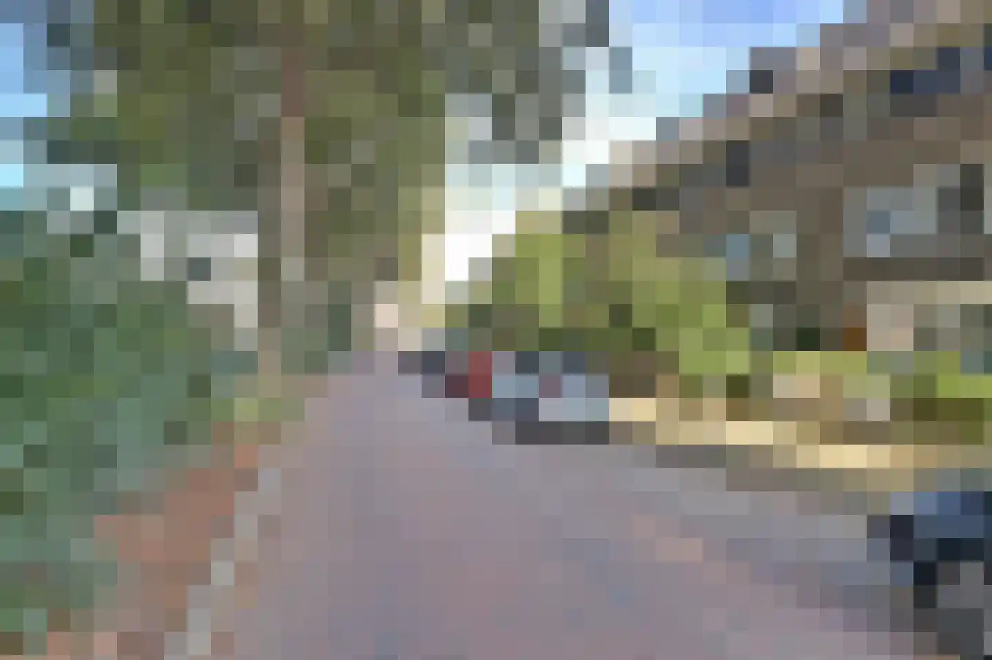 Insulindeweg 246 Delft thumbnail 9