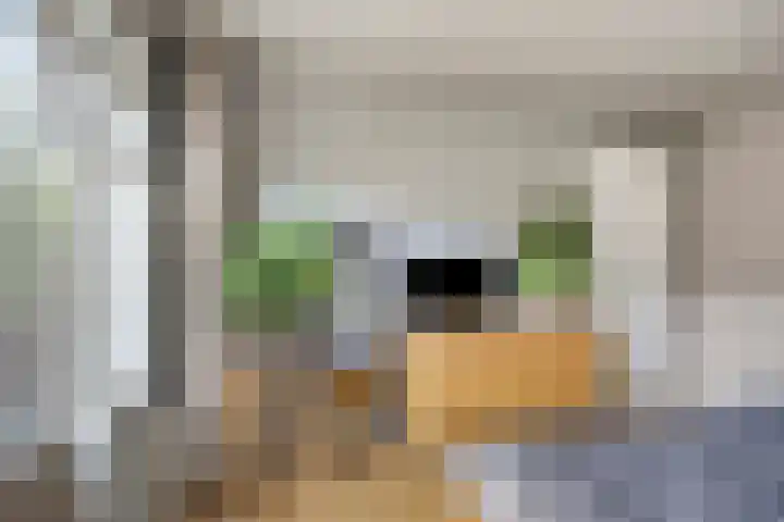 Insulindeweg 25 Delft thumbnail 23
