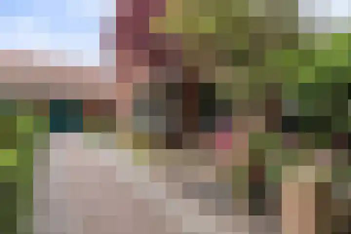 Insulindeweg 25 Delft thumbnail 4