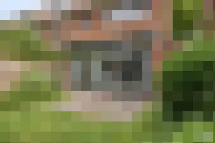 Insulindeweg 25 Delft thumbnail 43