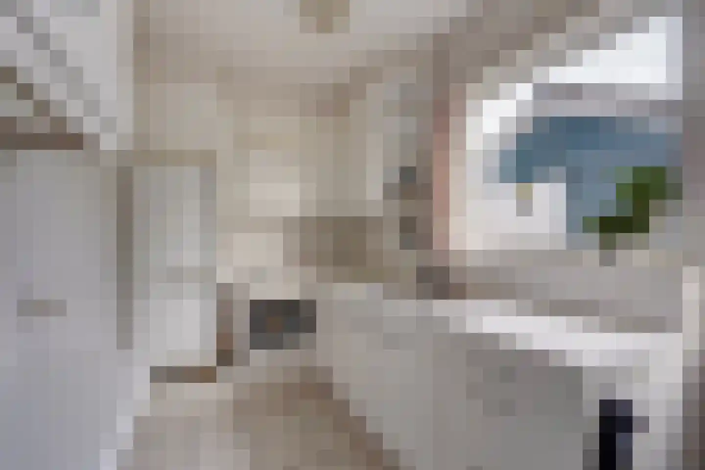 Insulindeweg 30 Delft thumbnail 17