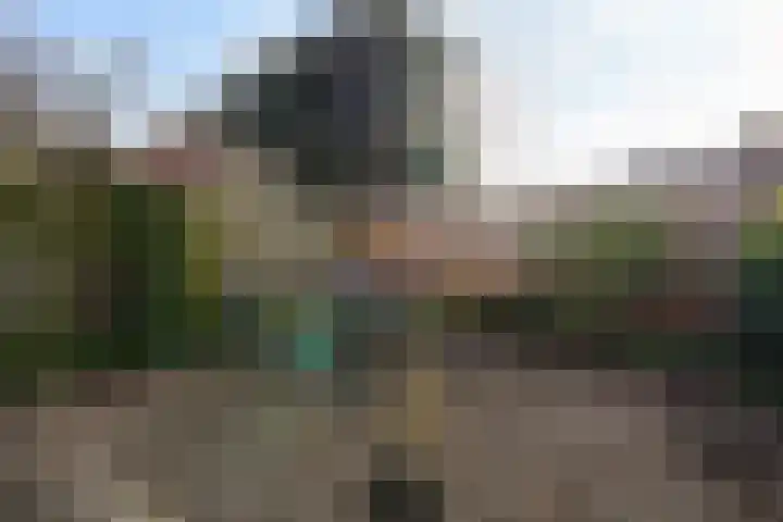 Insulindeweg 30 Delft thumbnail 23