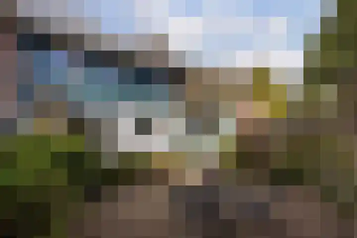Insulindeweg 30 Delft thumbnail 25