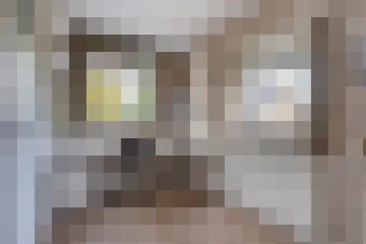 Insulindeweg 30 Delft thumbnail 31