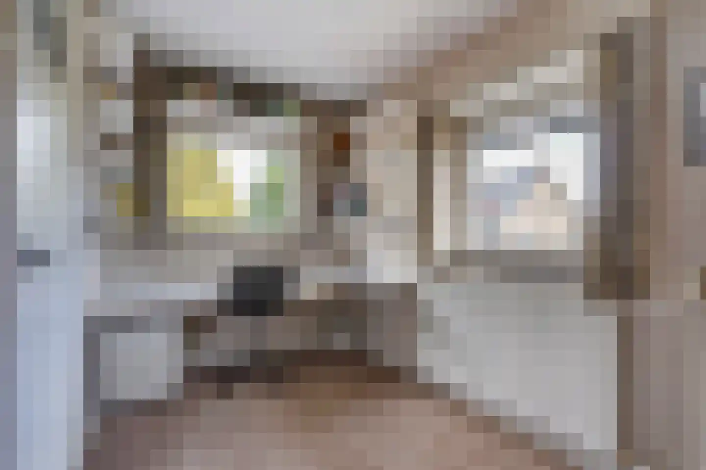 Insulindeweg 30 Delft thumbnail 31