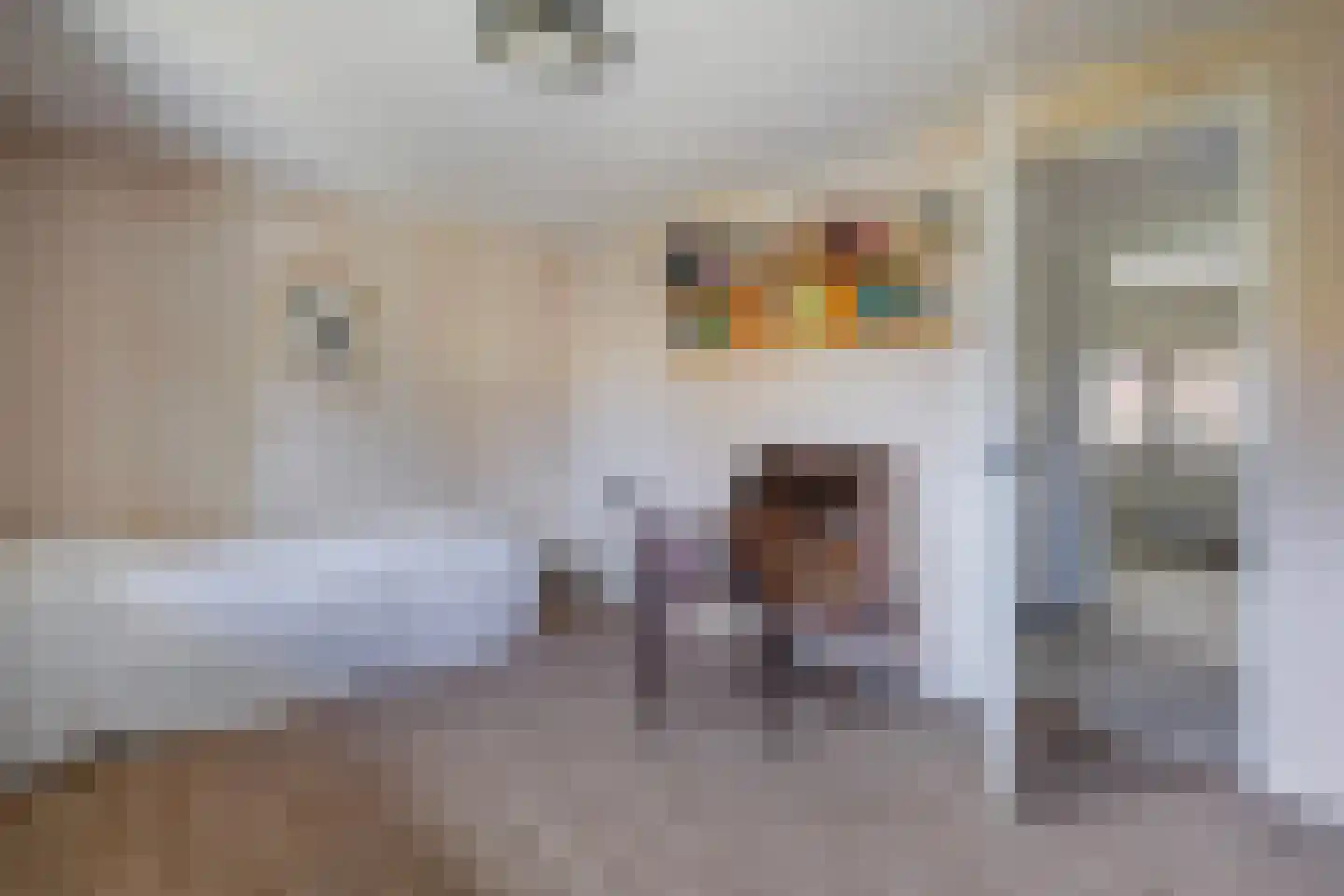 Insulindeweg 30 Delft thumbnail 33