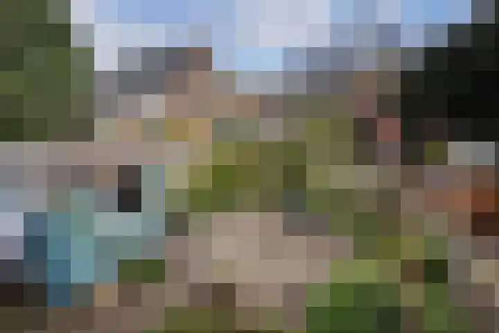Insulindeweg 30 Delft thumbnail 36