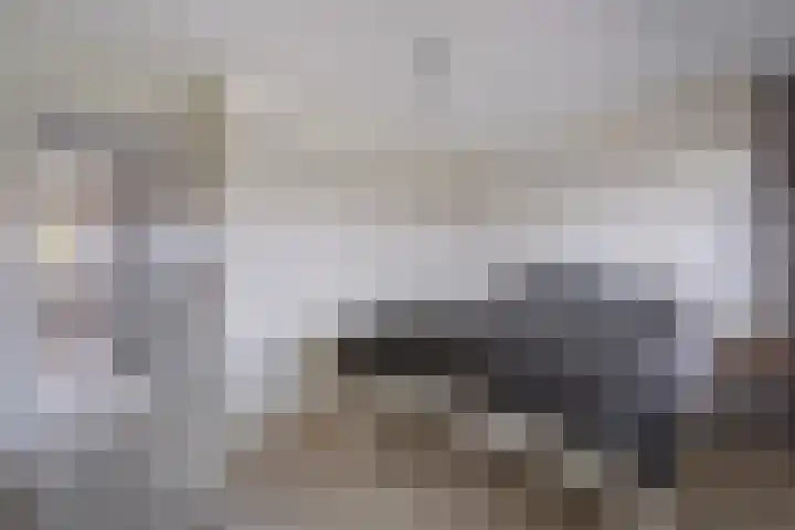 Insulindeweg 30 Delft thumbnail 38