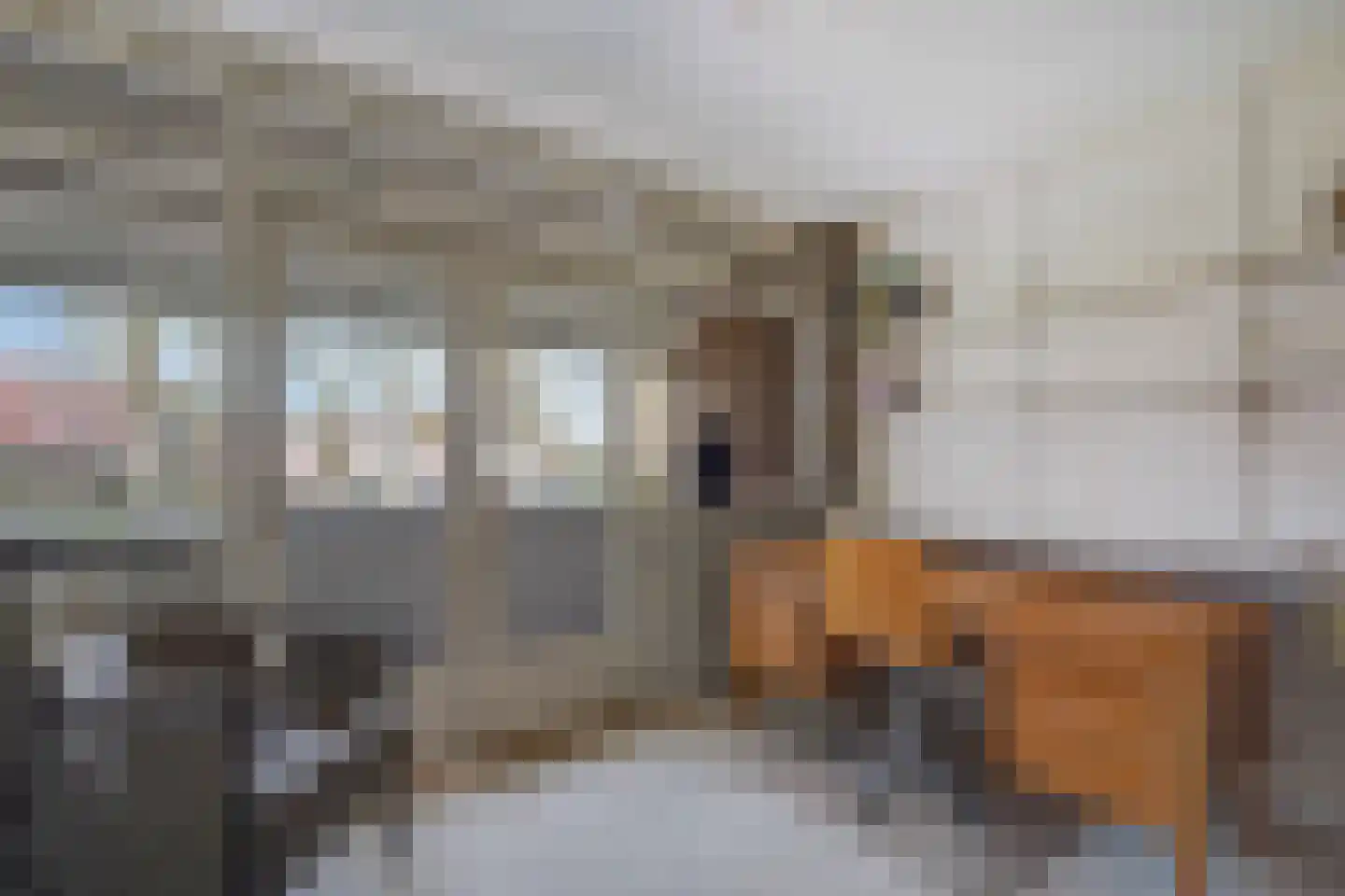 Insulindeweg 30 Delft thumbnail 42