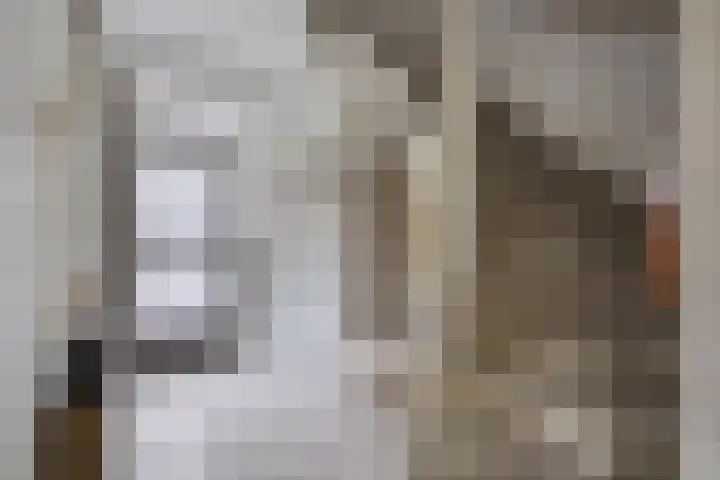Insulindeweg 30 Delft thumbnail 5