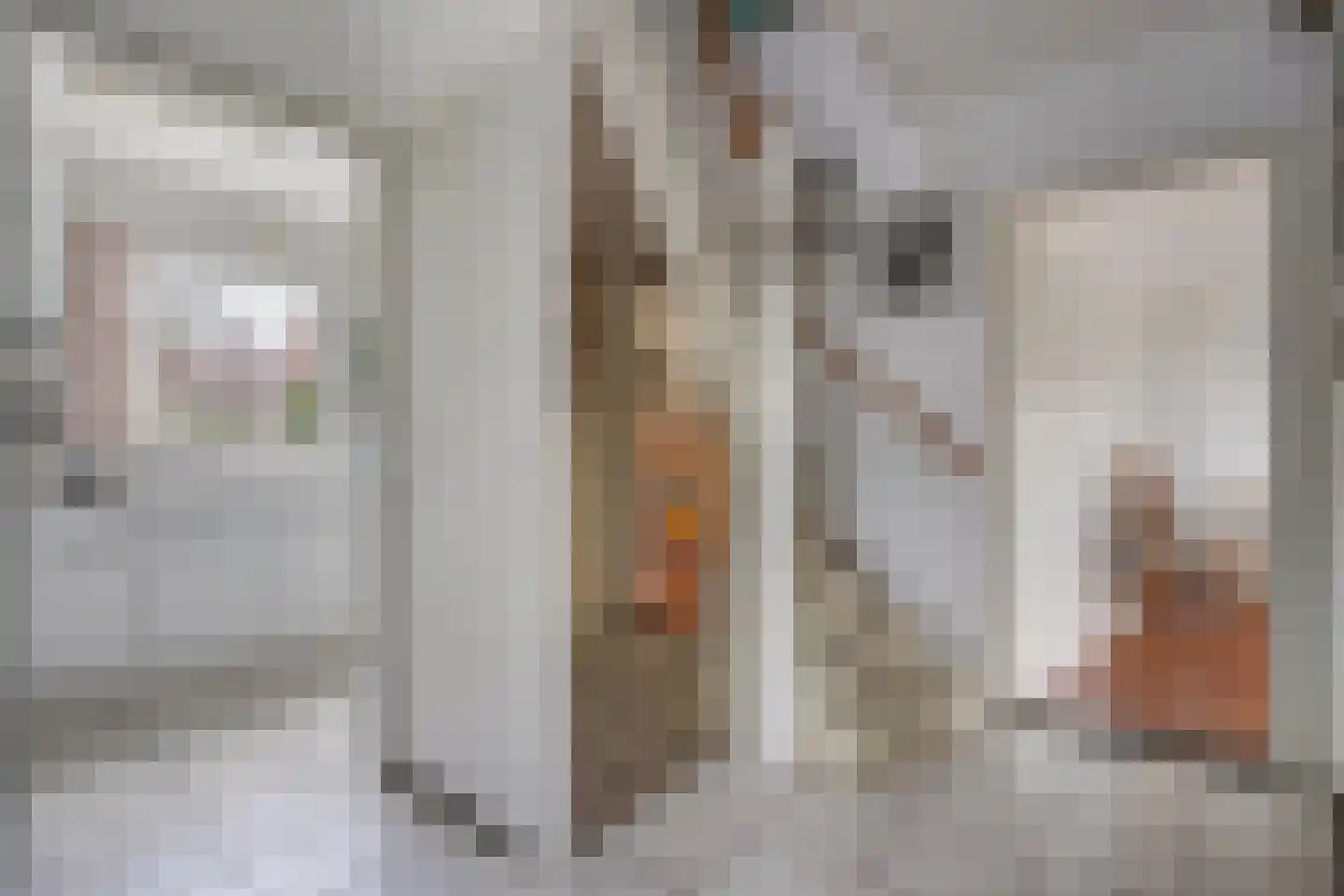 Insulindeweg 30 Delft thumbnail 6