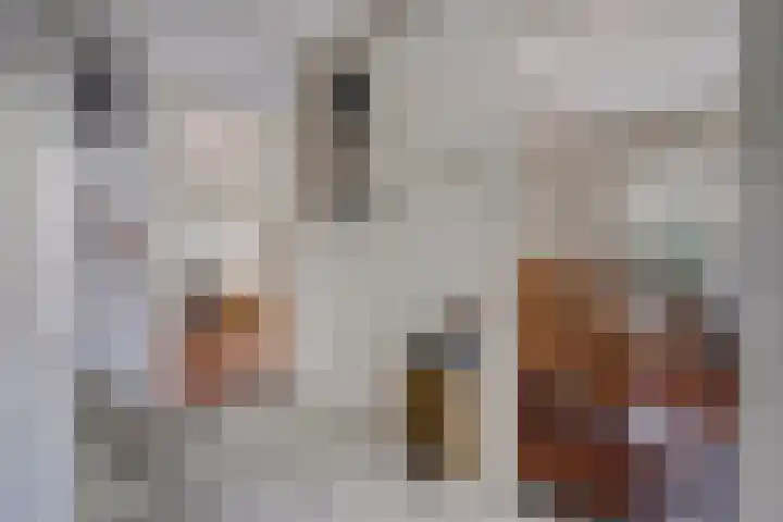 Insulindeweg 30 Delft thumbnail 7