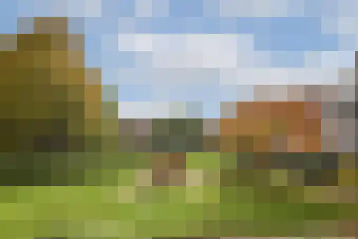 Insulindeweg 338 Amsterdam thumbnail 20