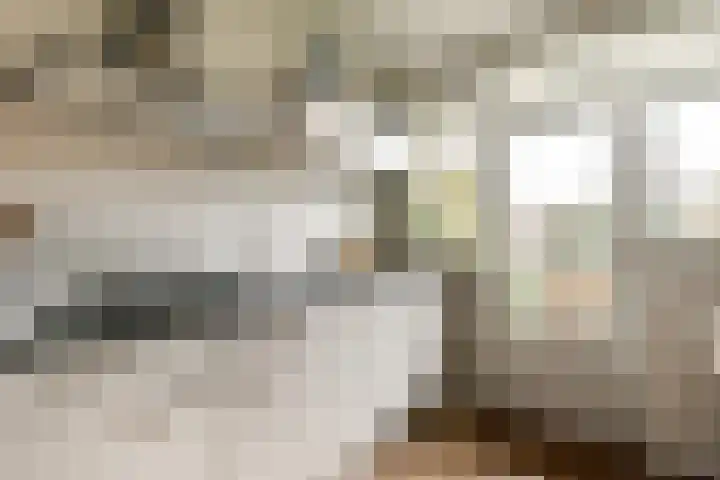 Insulindeweg 338 Amsterdam thumbnail 6