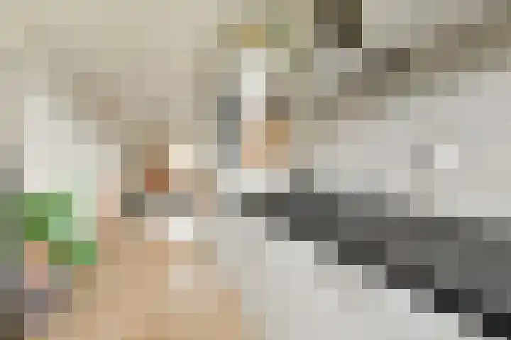 Insulindeweg 338 Amsterdam thumbnail 7