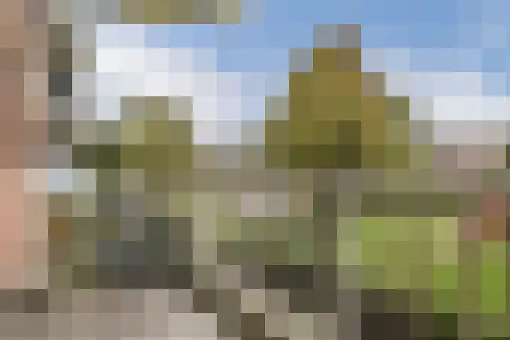 Insulindeweg 338 Amsterdam thumbnail 8