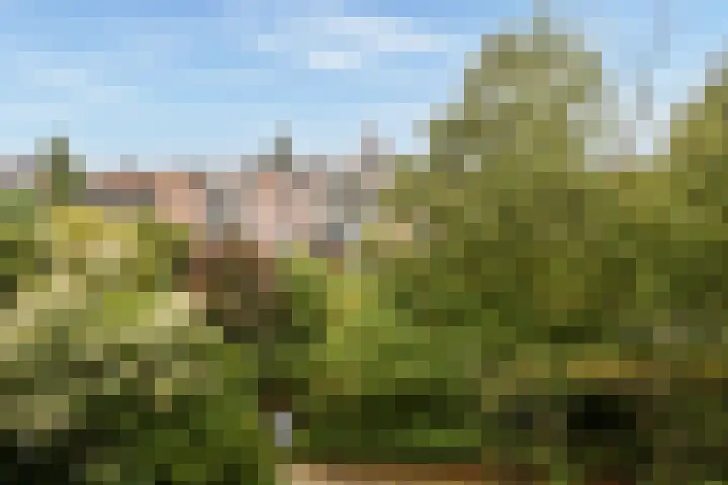 Insulindeweg 400 Amsterdam thumbnail 13