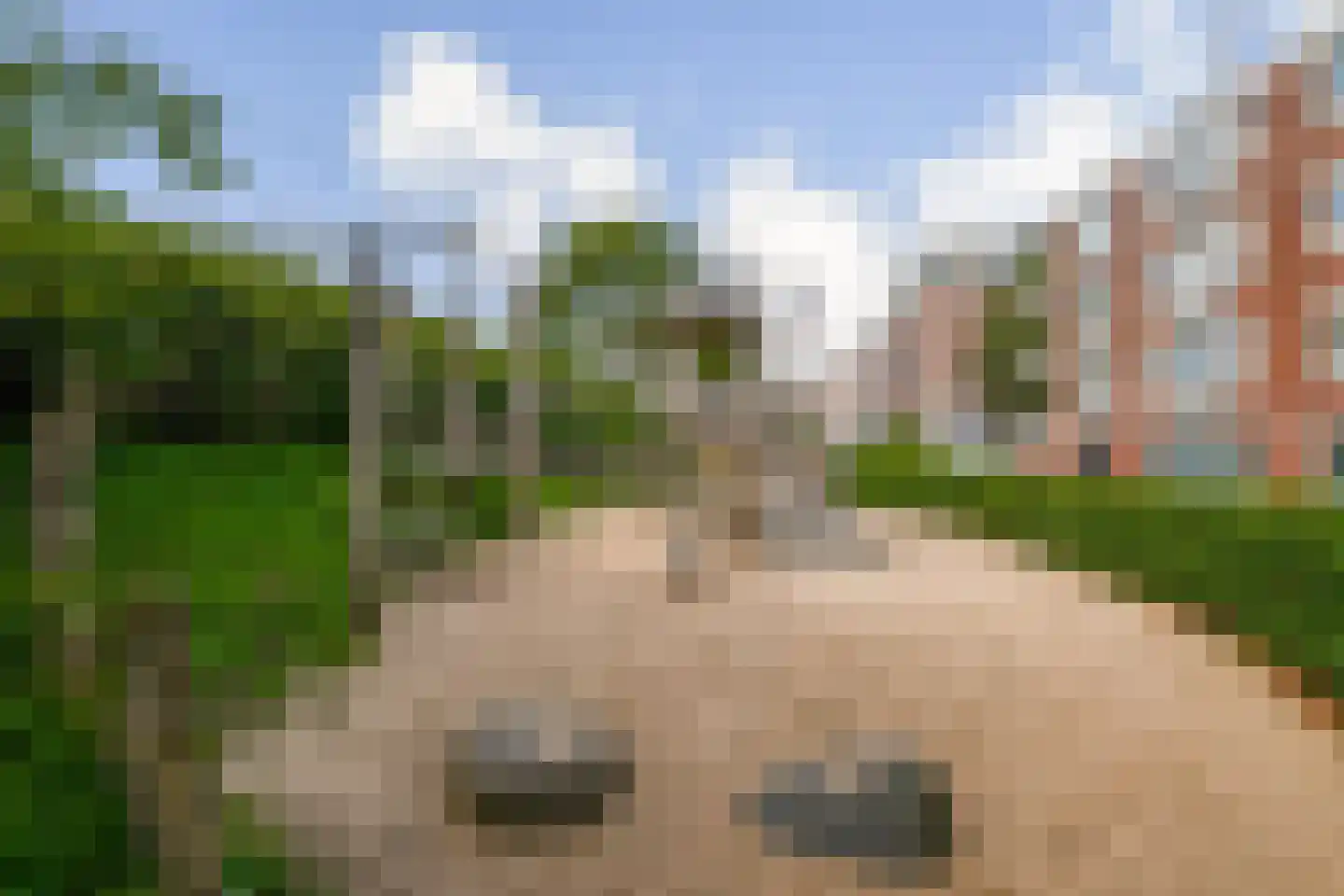 Insulindeweg 5 B Amsterdam thumbnail 20