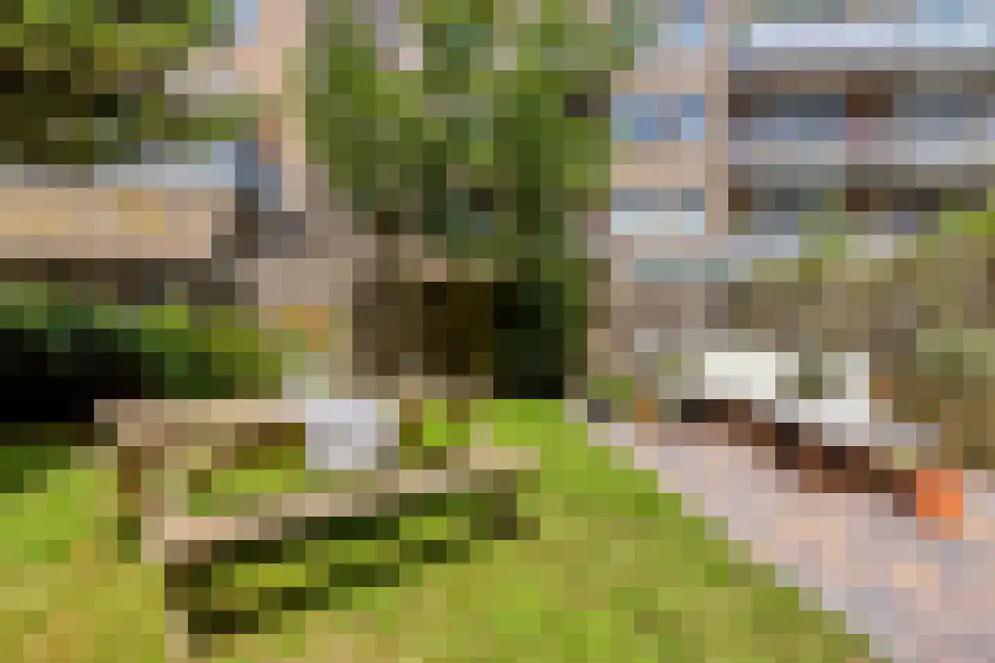 Insulindeweg 641 Amsterdam thumbnail 27