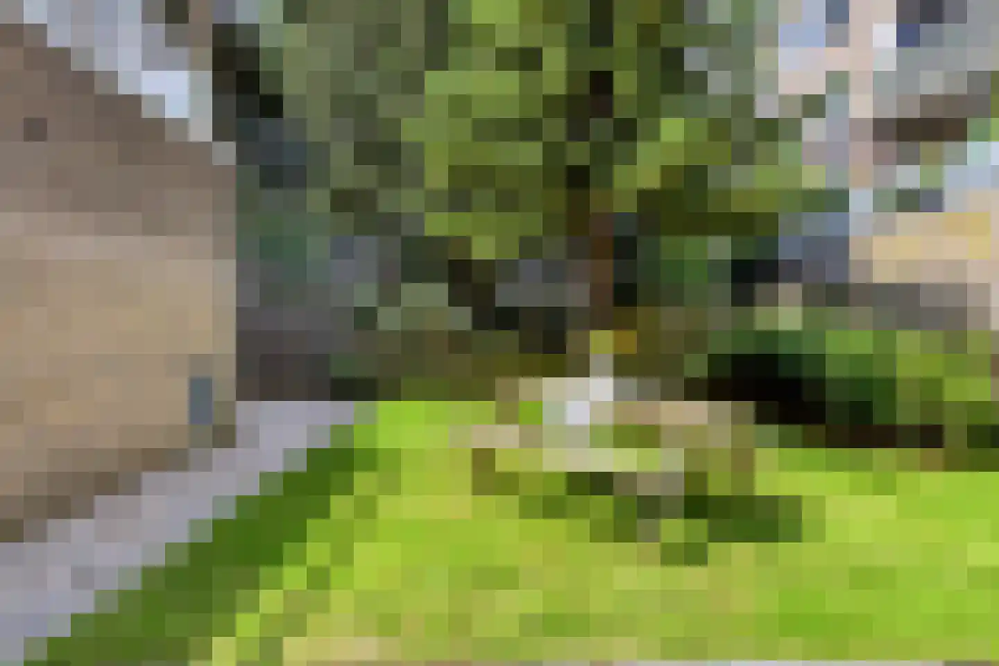 Insulindeweg 641 Amsterdam thumbnail 28