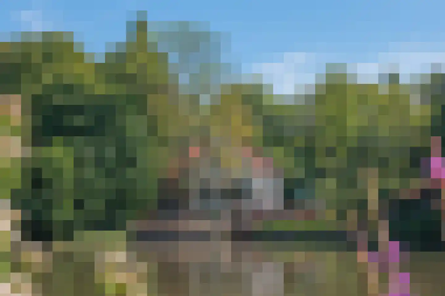Insulindeweg 651 Amsterdam thumbnail 18