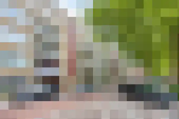 Insulindeweg 661 Amsterdam thumbnail 17