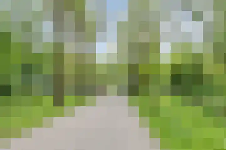 Insulindeweg 661 Amsterdam thumbnail 19