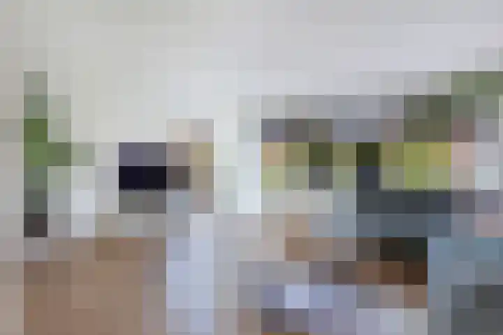 Intang 12 Lemmer thumbnail 10