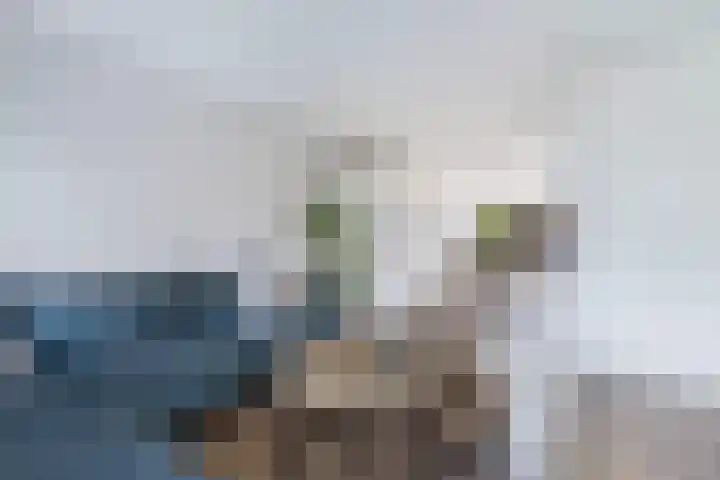 Intang 12 Lemmer thumbnail 12