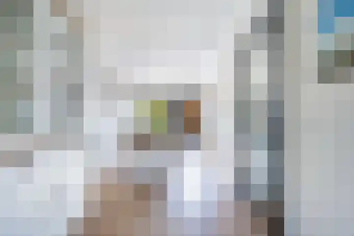 Intang 12 Lemmer thumbnail 13