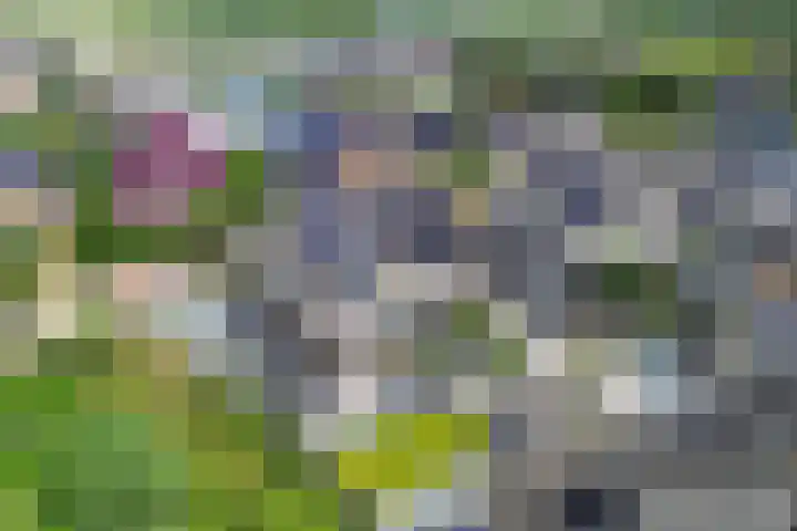 Intang 12 Lemmer thumbnail 28