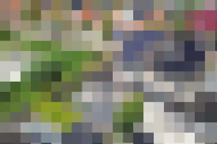 Intang 12 Lemmer thumbnail 29