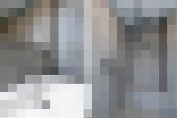 Intang 12 Lemmer thumbnail 37