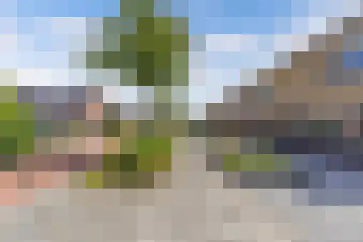 Intang 12 Lemmer thumbnail 42