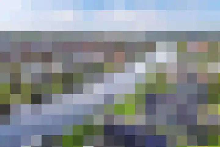 Intang 12 Lemmer thumbnail 44