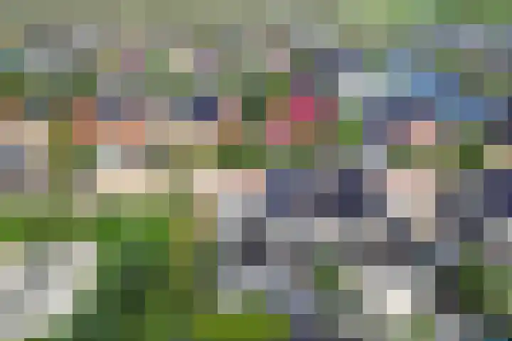 Intang 12 Lemmer thumbnail 45