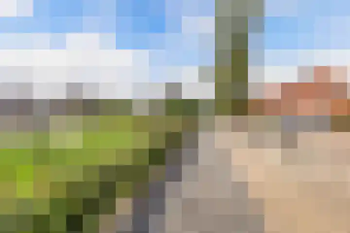 Intang 12 Lemmer thumbnail 47