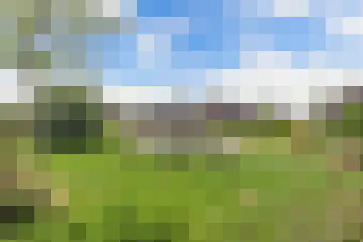 Intang 12 Lemmer thumbnail 48