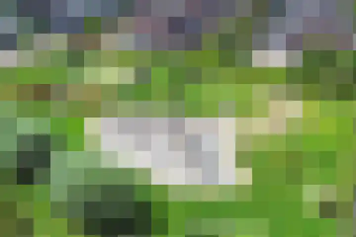 Intang 12 Lemmer thumbnail 49