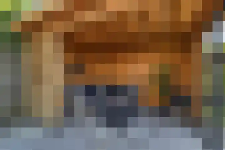 Intang 12 Lemmer thumbnail 5