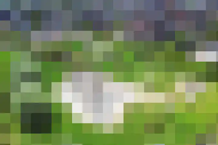 Intang 12 Lemmer thumbnail 50