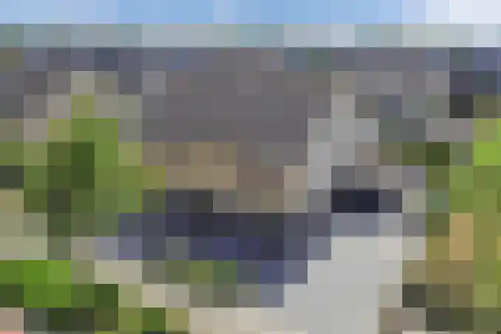 Intang 12 Lemmer thumbnail 53