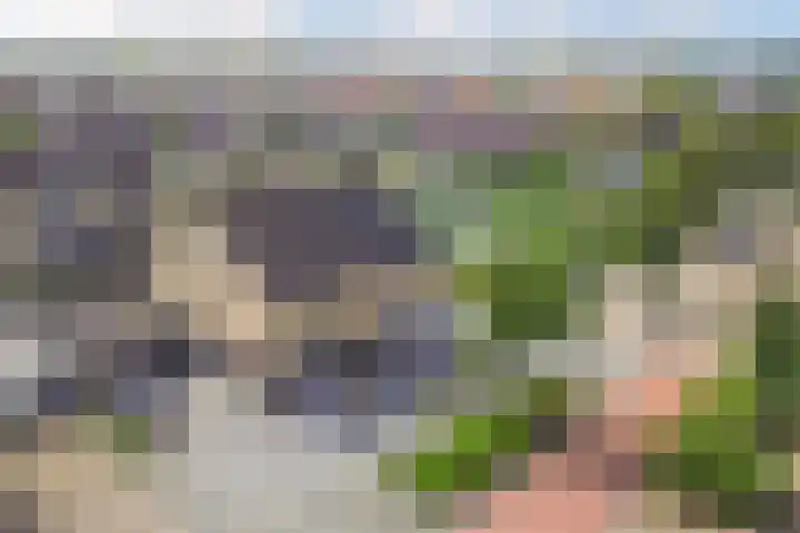 Intang 12 Lemmer thumbnail 54
