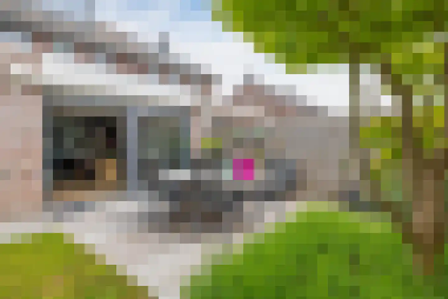 Intang 20 Lemmer thumbnail 21